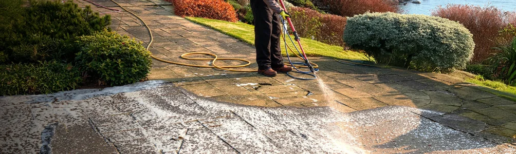 SoftWashDriveCleaning